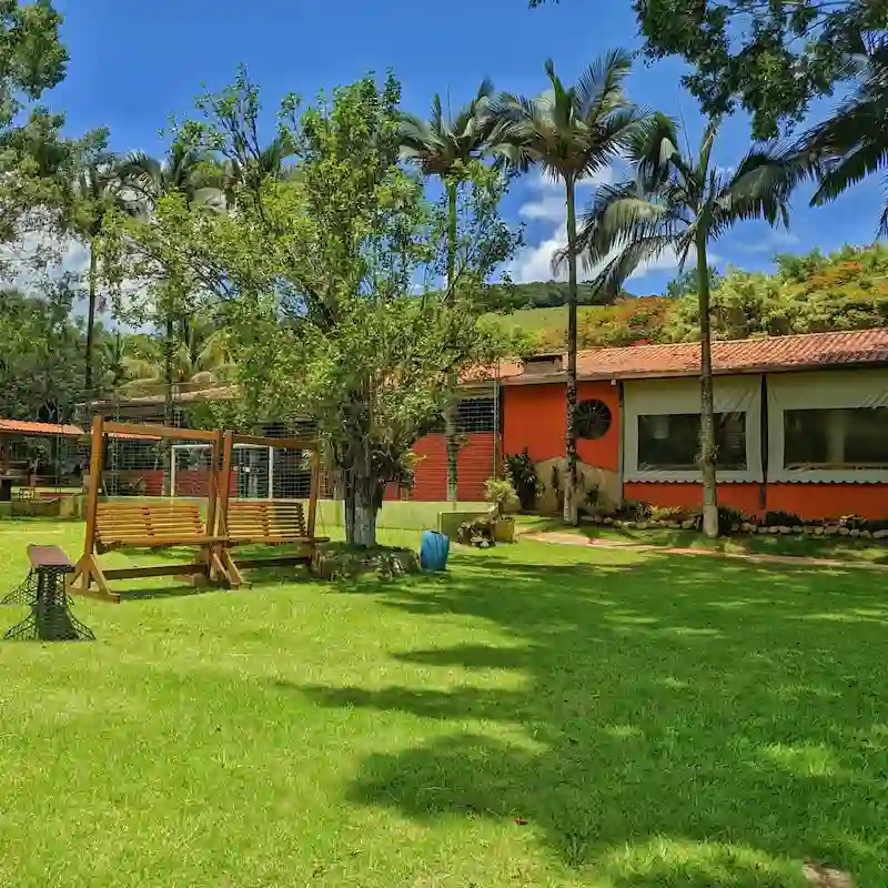 Área arborizada e natural do Restaurante Sabor do Campo em Taubaté