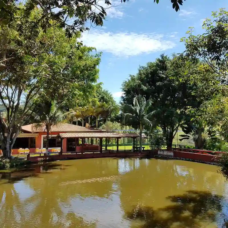 Lago de pesca esportiva — vista 2 — Sabor do Campo