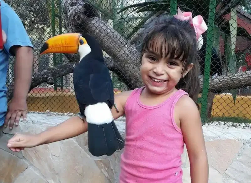 Menina com tucano no braço — Sabor do Campo Taubaté
